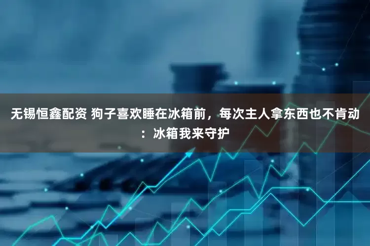 无锡恒鑫配资 狗子喜欢睡在冰箱前，每次主人拿东西也不肯动：冰箱我来守护