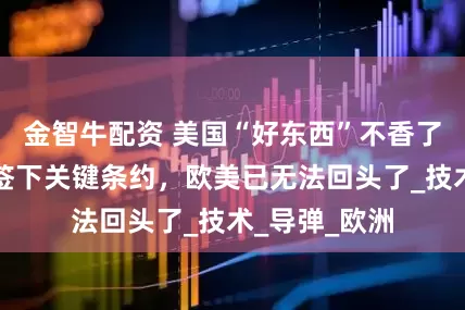 金智牛配资 美国“好东西”不香了，英法偷偷签下关键条约，欧美已无法回头了_技术_导弹_欧洲
