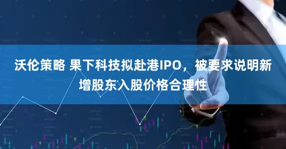 沃伦策略 果下科技拟赴港IPO，被要求说明新增股东入股价格合理性