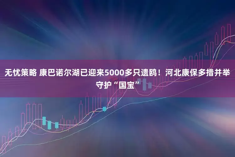 无忧策略 康巴诺尔湖已迎来5000多只遗鸥！河北康保多措并举守护“国宝”