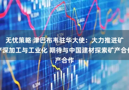 无忧策略 津巴布韦驻华大使：大力推进矿产深加工与工业化 期待与中国建材探索矿产合作